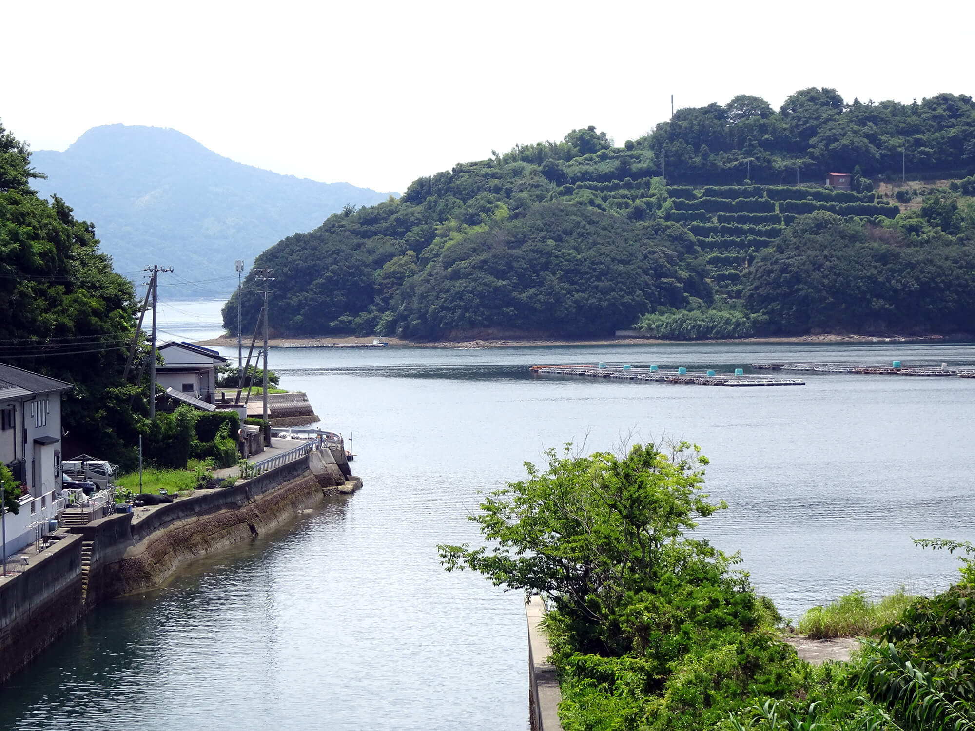 宇和島市奥南運河 写真